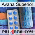 Top Avana 40